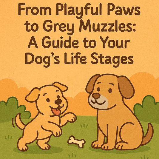 Part-1-From-Playful-Paws-to-Active-Companions-Understanding-Your-Dog-s-Early-Years Wellbain