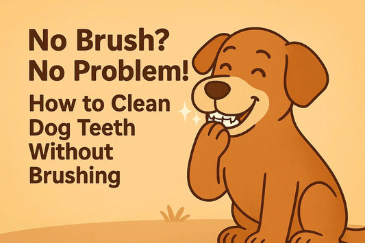 No-Brush-No-Problem-How-to-Clean-Dog-Teeth-Without-Brushing Wellbain