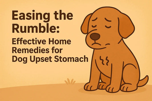 Easing-the-Rumble-Effective-Home-Remedies-for-Dog-Upset-Stomach Wellbain