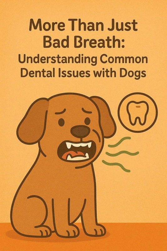 More-Than-Just-Bad-Breath-Understanding-Common-Dental-Issues-with-Dogs Wellbain