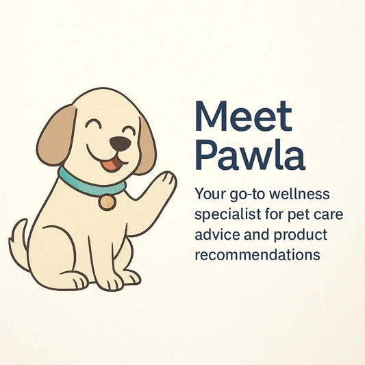 Understanding-Your-Pet-s-Needs-A-Wellness-Guide-from-Pawla Wellbain
