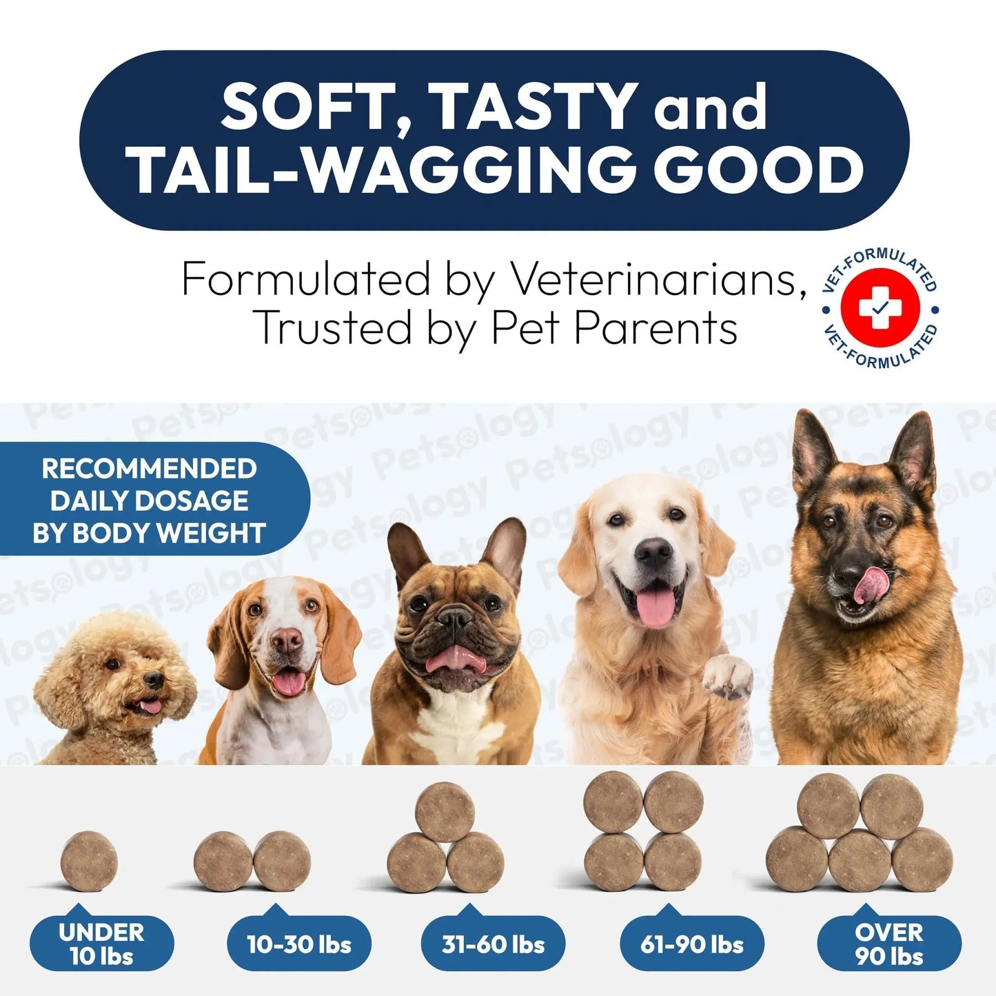 Probiotics for Dogs 170 Chews Dog Digestive Enzymes Prebiotics Support Gut