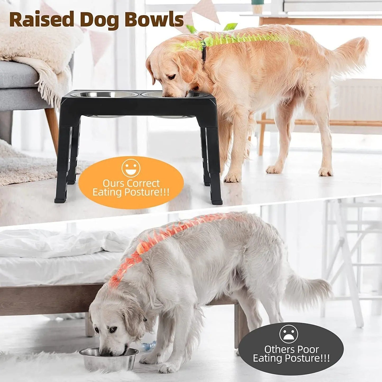 Elevated Dog Bowls 4 Adjustable Heights Raised Dog Food Water Bowl for Pet Dogs