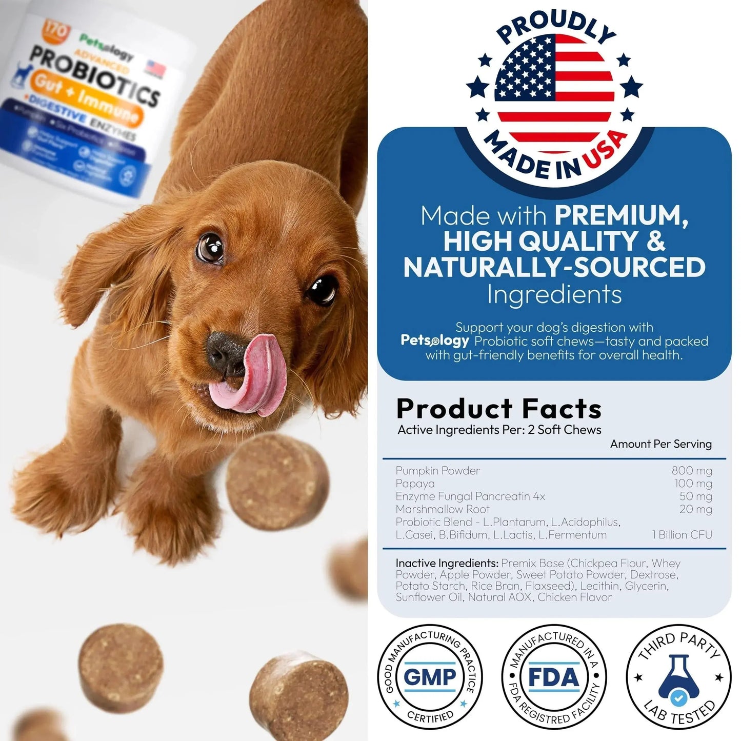 Probiotics for Dogs 170 Chews Dog Digestive Enzymes Prebiotics Support Gut