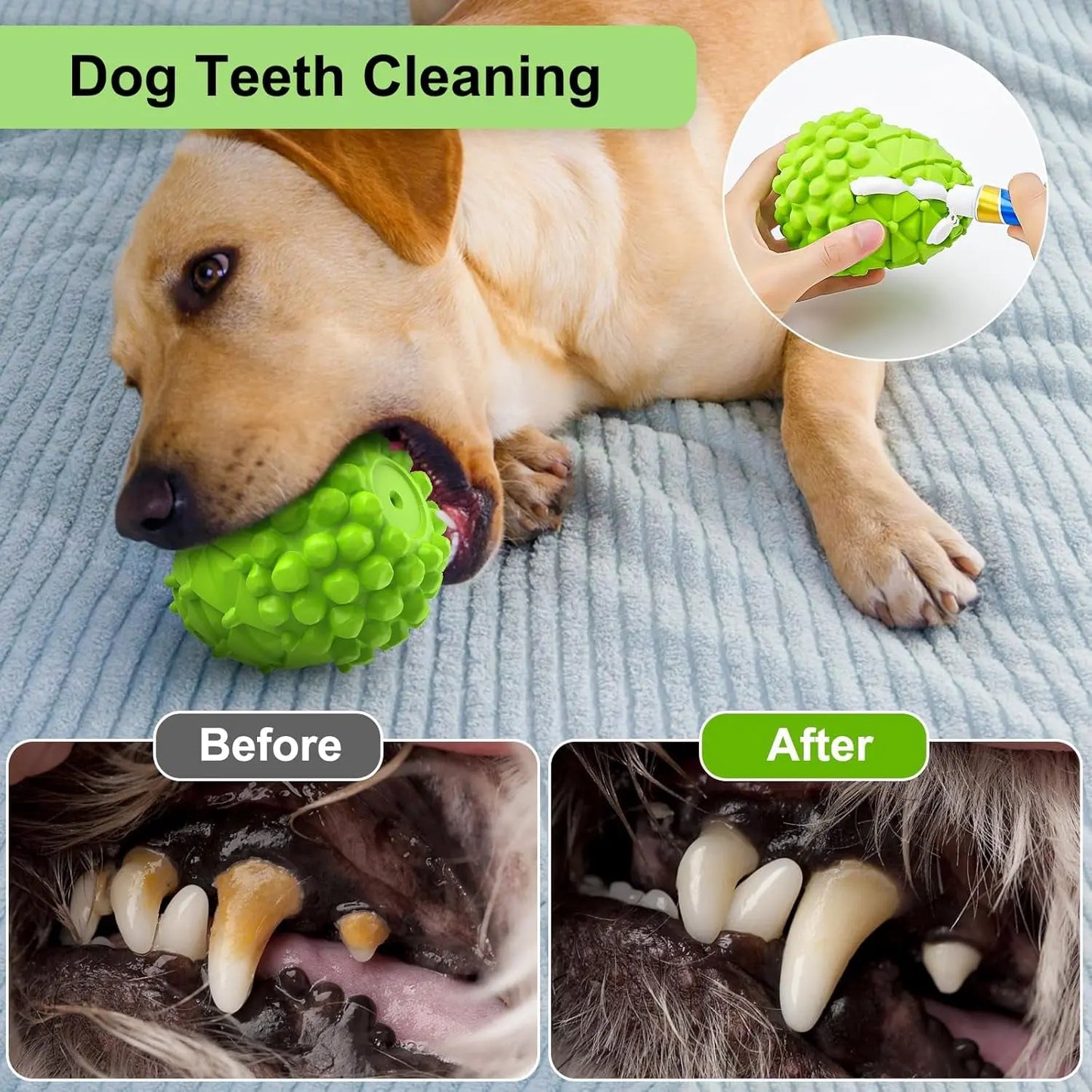 Dog Toy - Rubber Squeaky Pinecone for Large Dogs, Reduces Plaque & Tartar, Teeth Cleaning, Tough Tear-Resistant, Green