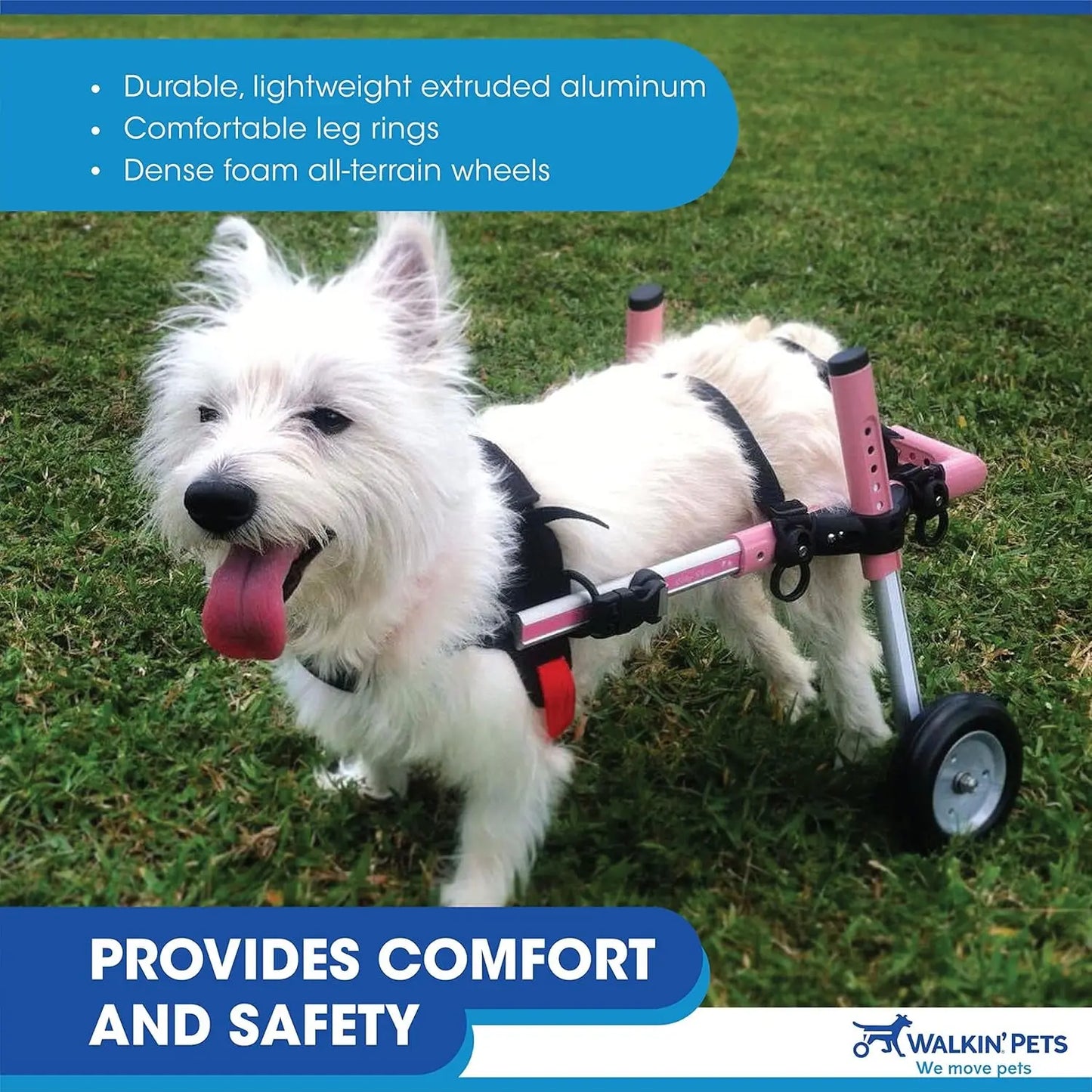 Dachshund Wheelchair - for Small Dogs 2-30+ Pounds - Veterinarian Approved - Dog Wheelchair for Back Legs