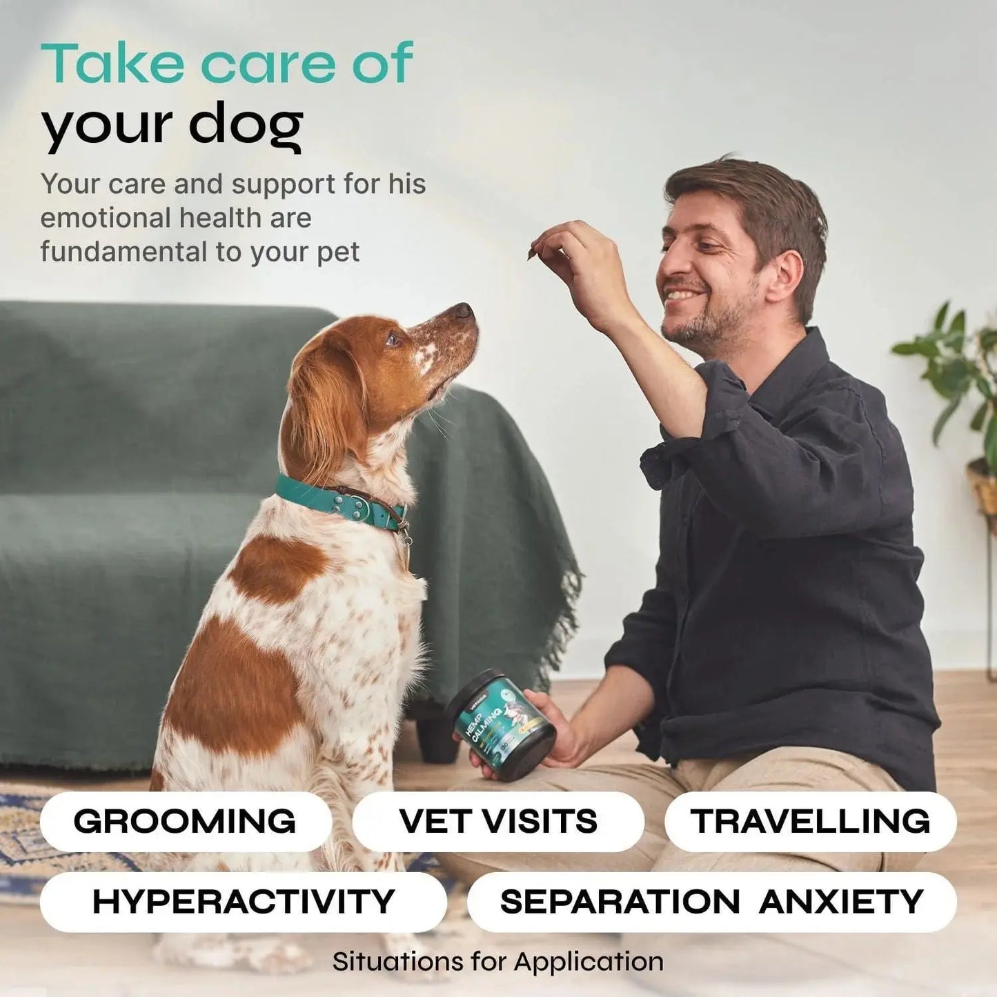 Calming Chews for Dogs Anxiety Relief Chicken Flavor Soft Treats for Storms