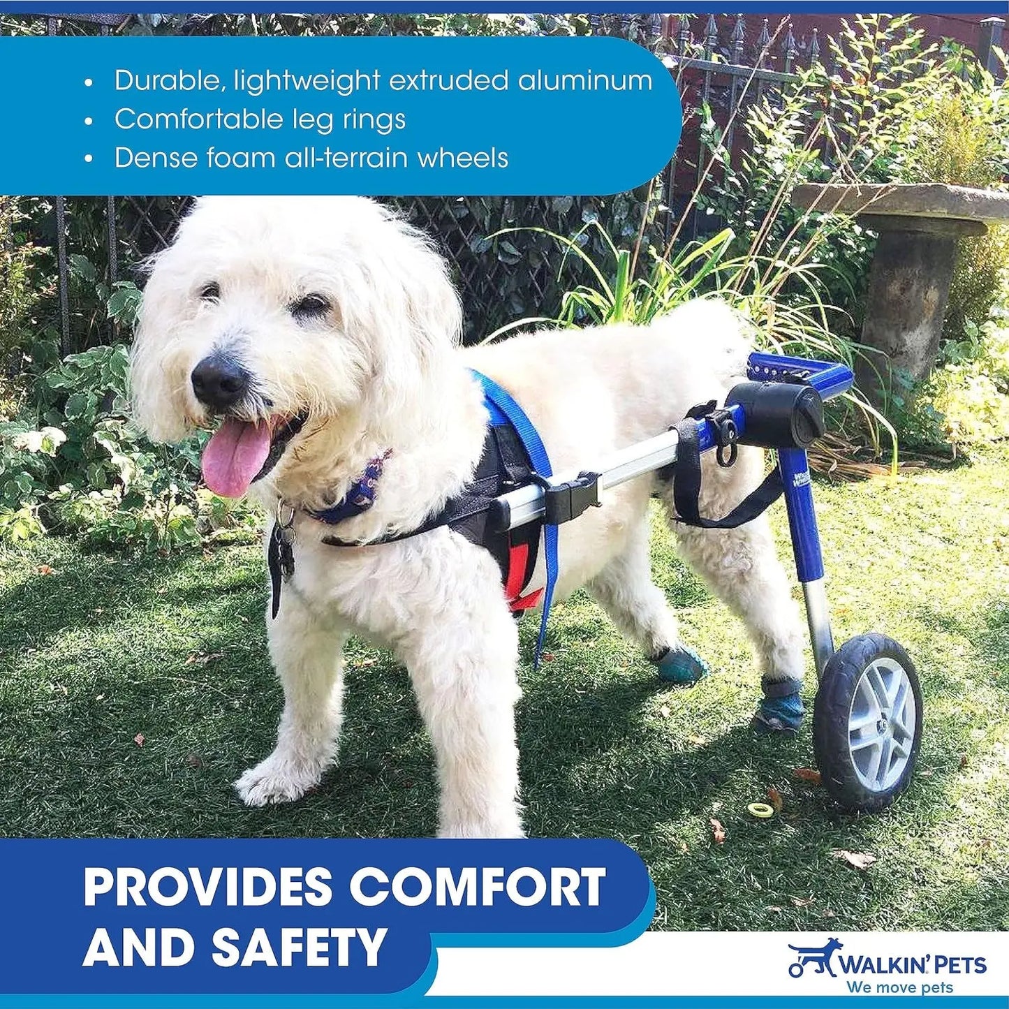 Dog Wheelchair - for Medium Dogs 26-49 Lbs - Veterinarian Approved - Dog Wheelchair for Back Legs