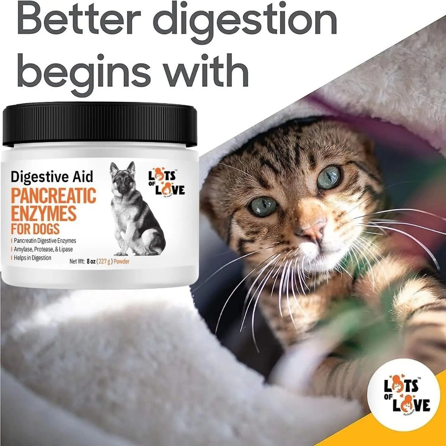 Pancreatic Digestive Enzymes for Dog & Cat (8 Oz Powder) - Thomas Labs Bio Ca...