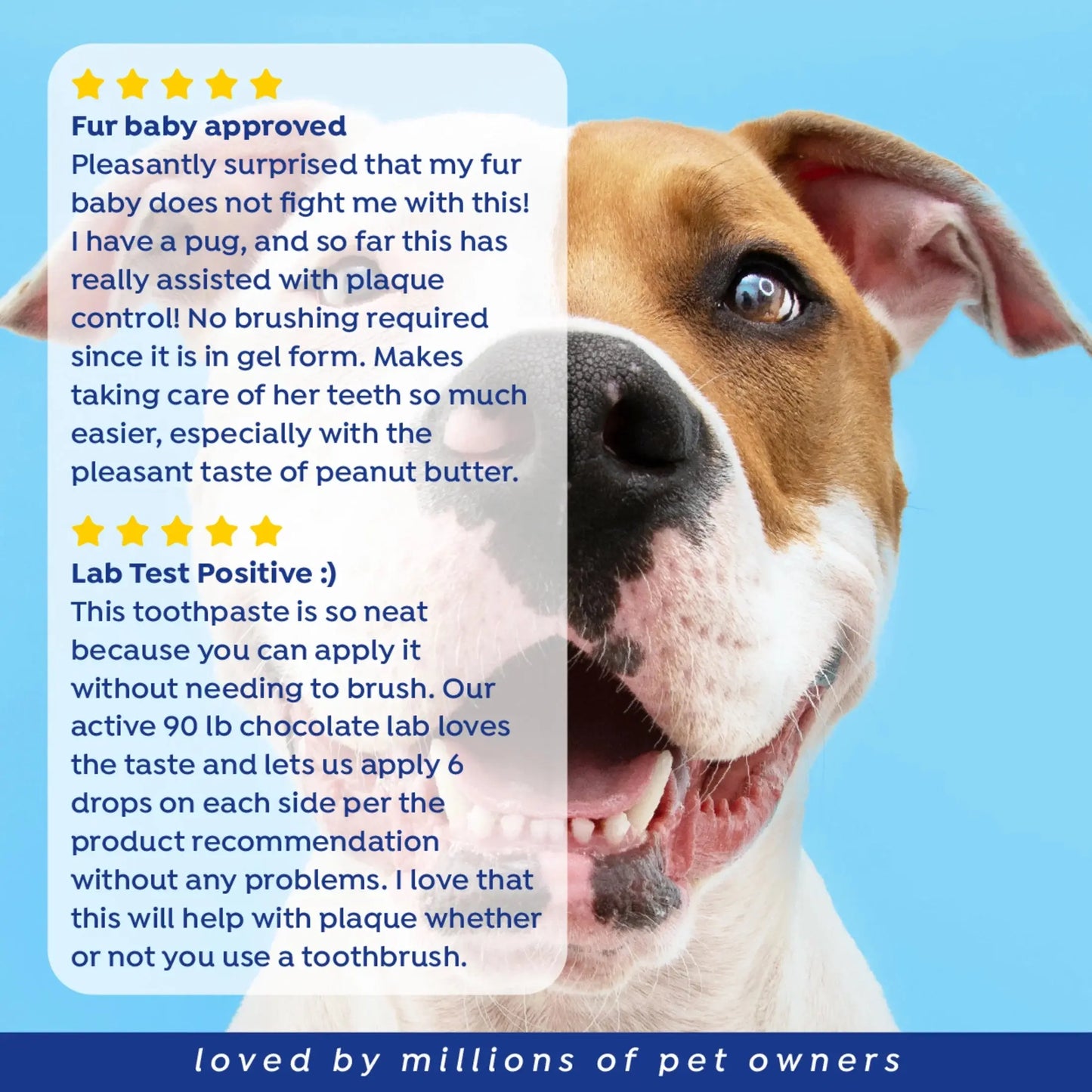 Fresh Dental No Brushing Gel Toothpaste for Dogs & Cats, Plaque Remover, 4 Oz