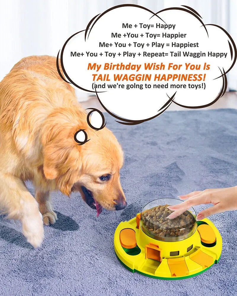 Dogs Puzzle Toy Enrichment Pet Slow Feeder Dispenser for Food and Treat US