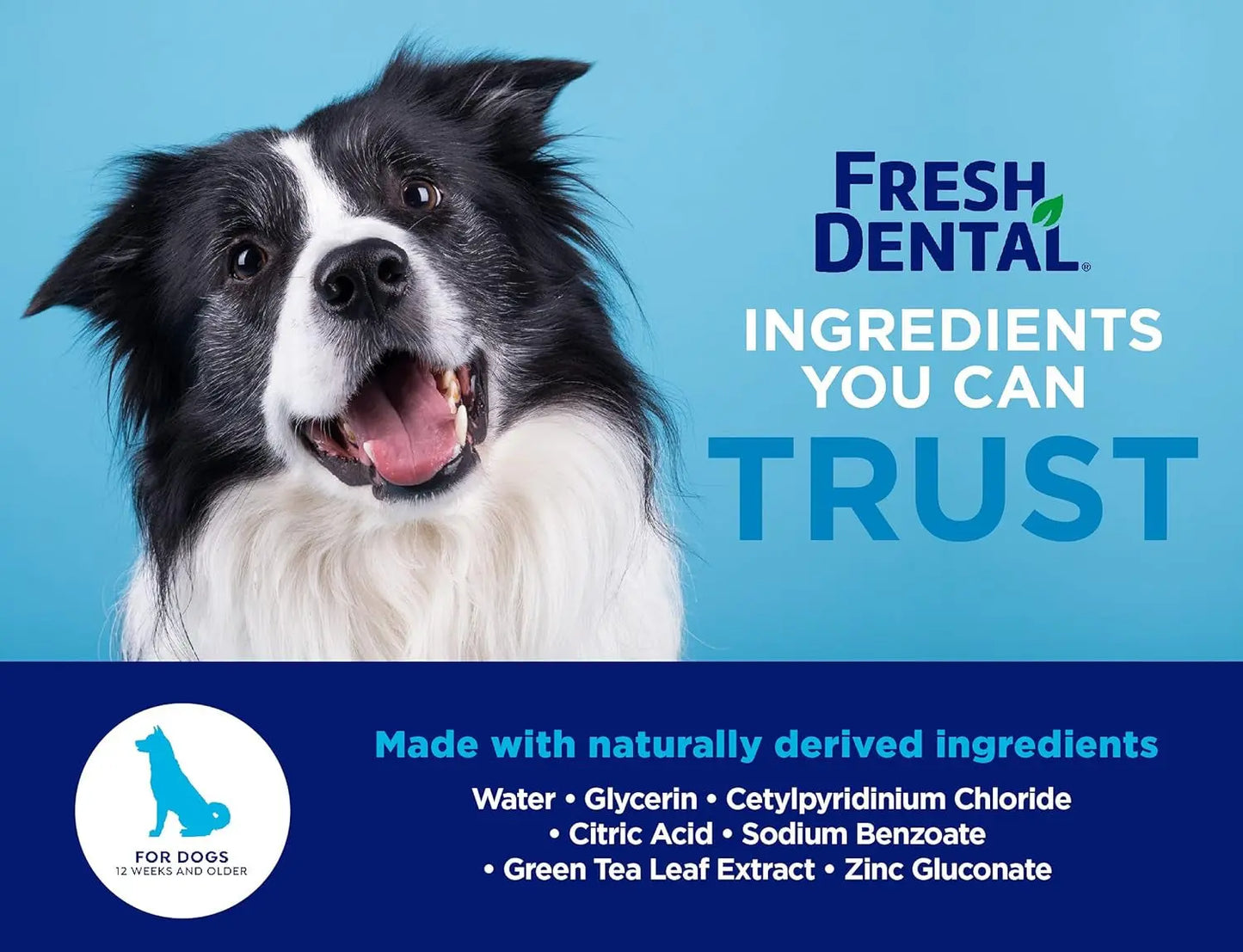 Fresh Dental Dental Health Solution for Dogs, 18Oz - 3 Pack - Oral Health Solution for Dogs - Easy to Use - Helps Clean Teeth - Freshens Breath up to 12 Hours - No Brushing Required