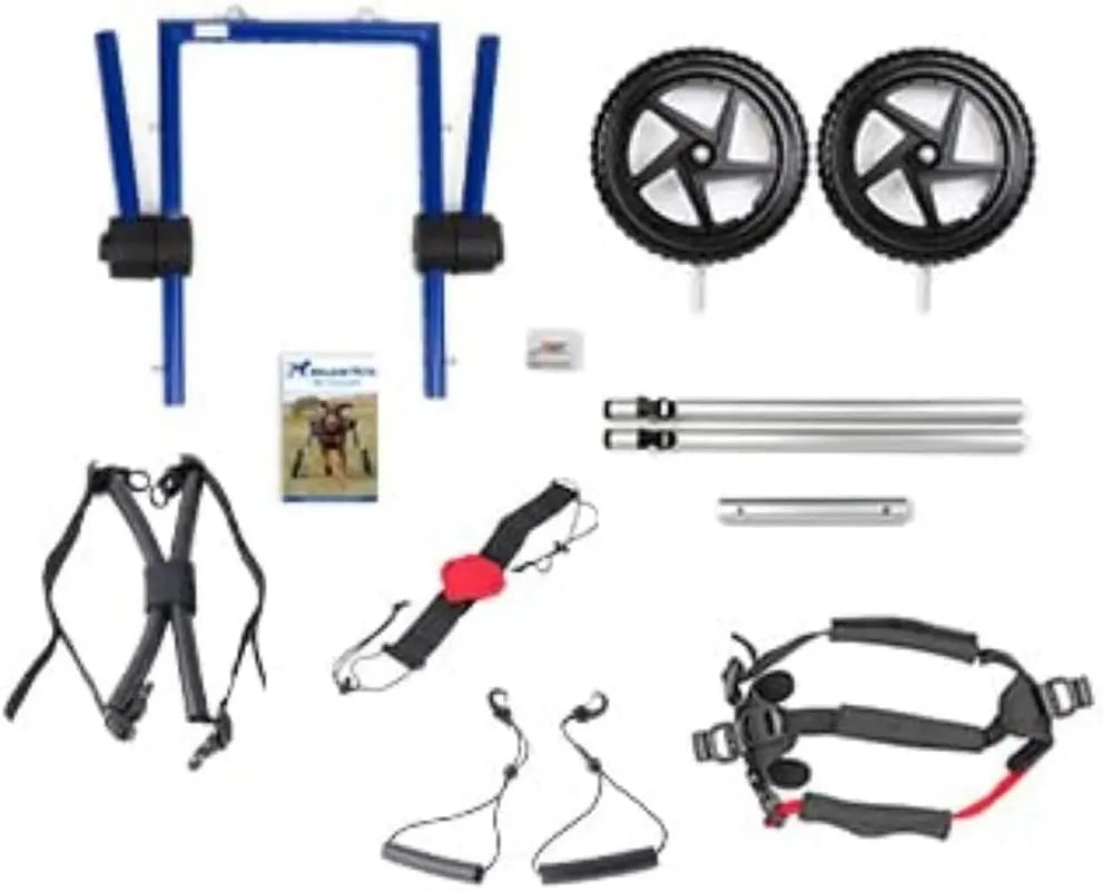Dog Wheelchair - for Medium Dogs 26-49 Lbs - Veterinarian Approved - Dog Wheelchair for Back Legs