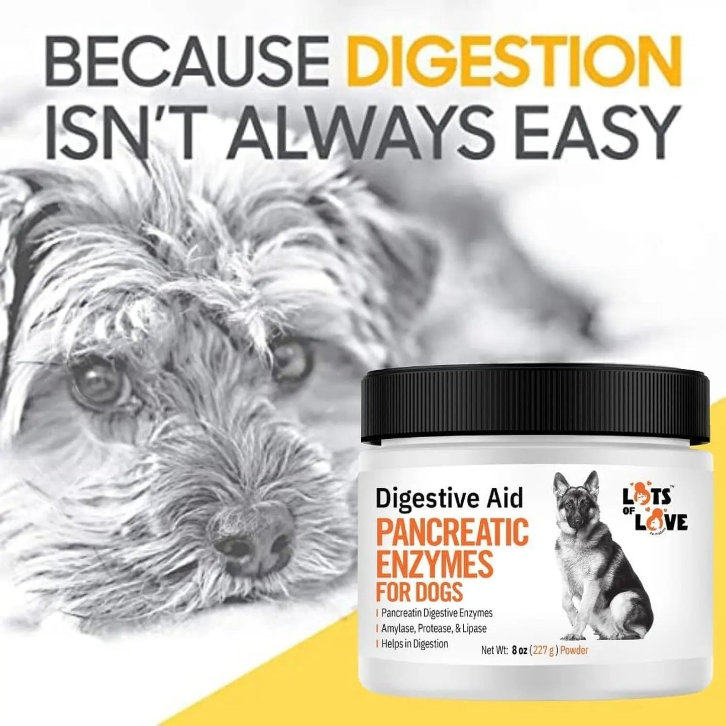 Pancreatic Digestive Enzymes for Dog & Cat (8 Oz Powder) - Thomas Labs Bio Ca...