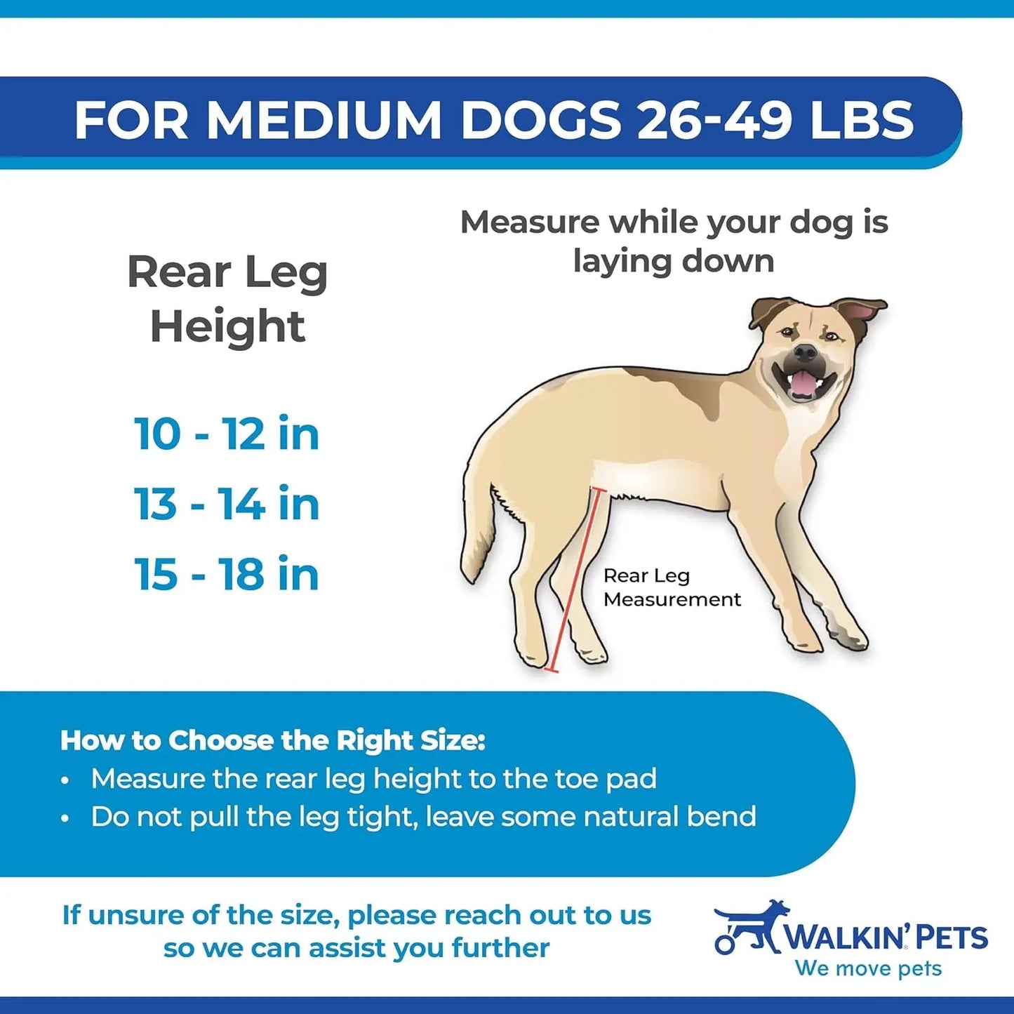Dog Wheelchair - for Medium Dogs 26-49 Lbs - Veterinarian Approved - Dog Wheelchair for Back Legs