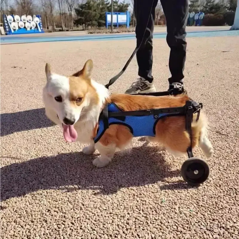 Pet Trolley Adjustable Hind Leg Disabled Pet Dog Mobility Aid Light Rehabilitation Legs Pet Wheelchair Walk Trolley Tools