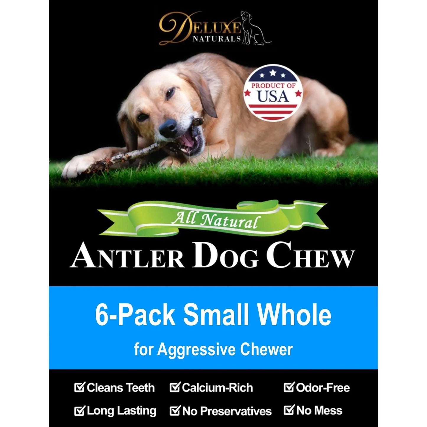 6-Pack Small Whole Elk Antler Dog Chews, Natural Long-Lasting Chew Treat for Small Dogs