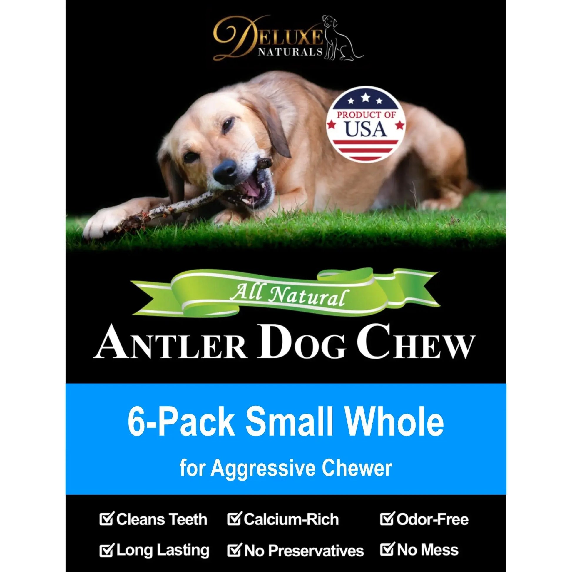 6-Pack Small Whole Elk Antler Dog Chews, Natural Long-Lasting Chew Treat for Small Dogs