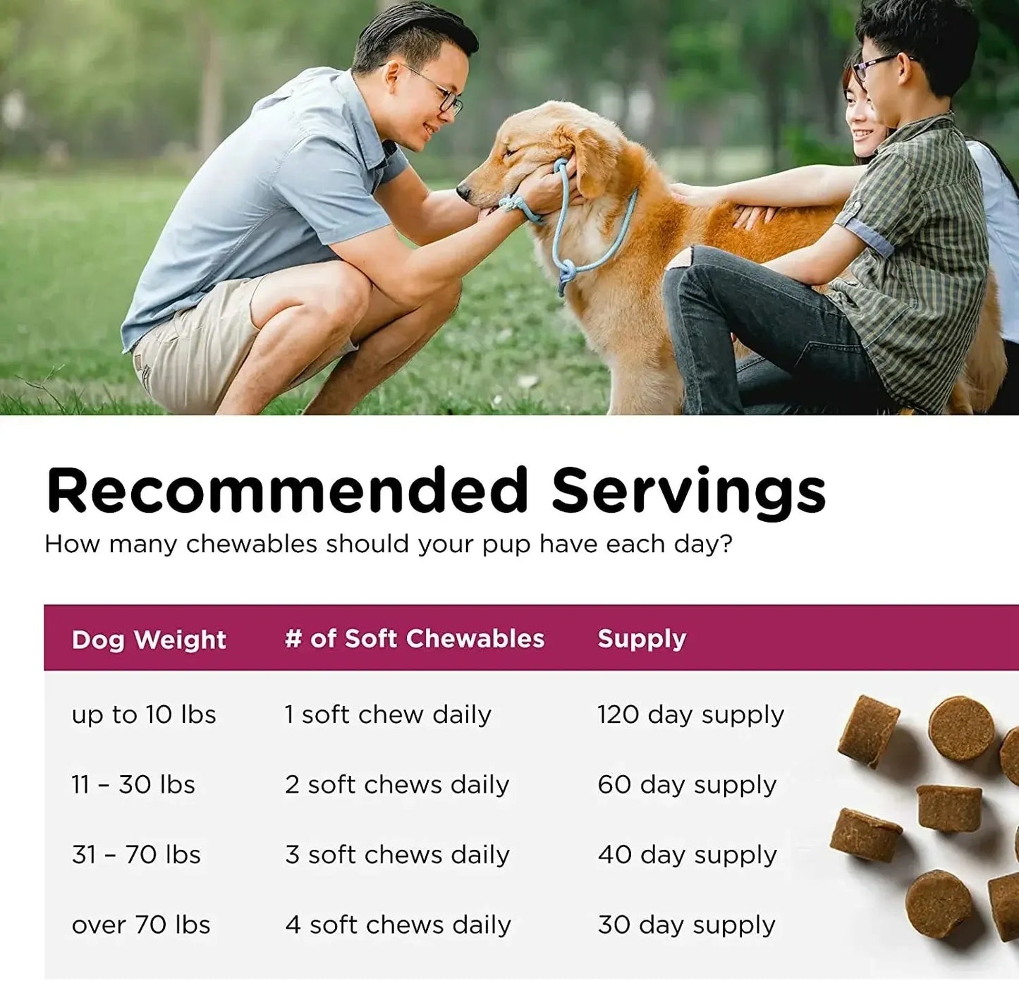 Nutri-Vet Pre and Probiotic for Dogs Digestive Health Support 120 Soft Chews New
