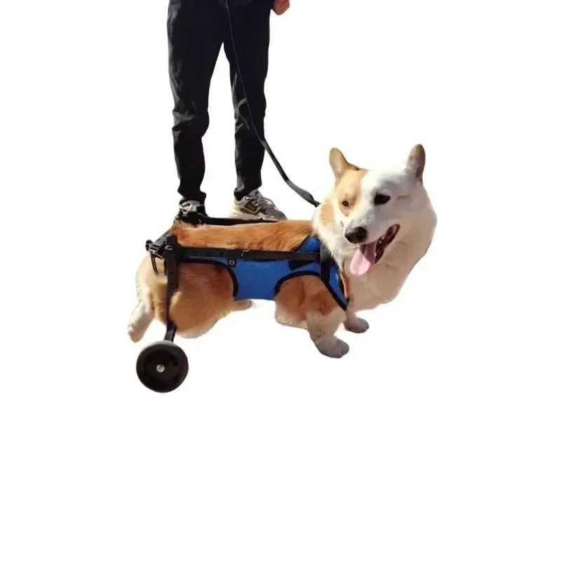 Pet Trolley Adjustable Hind Leg Disabled Pet Dog Mobility Aid Light Rehabilitation Legs Pet Wheelchair Walk Trolley Tools