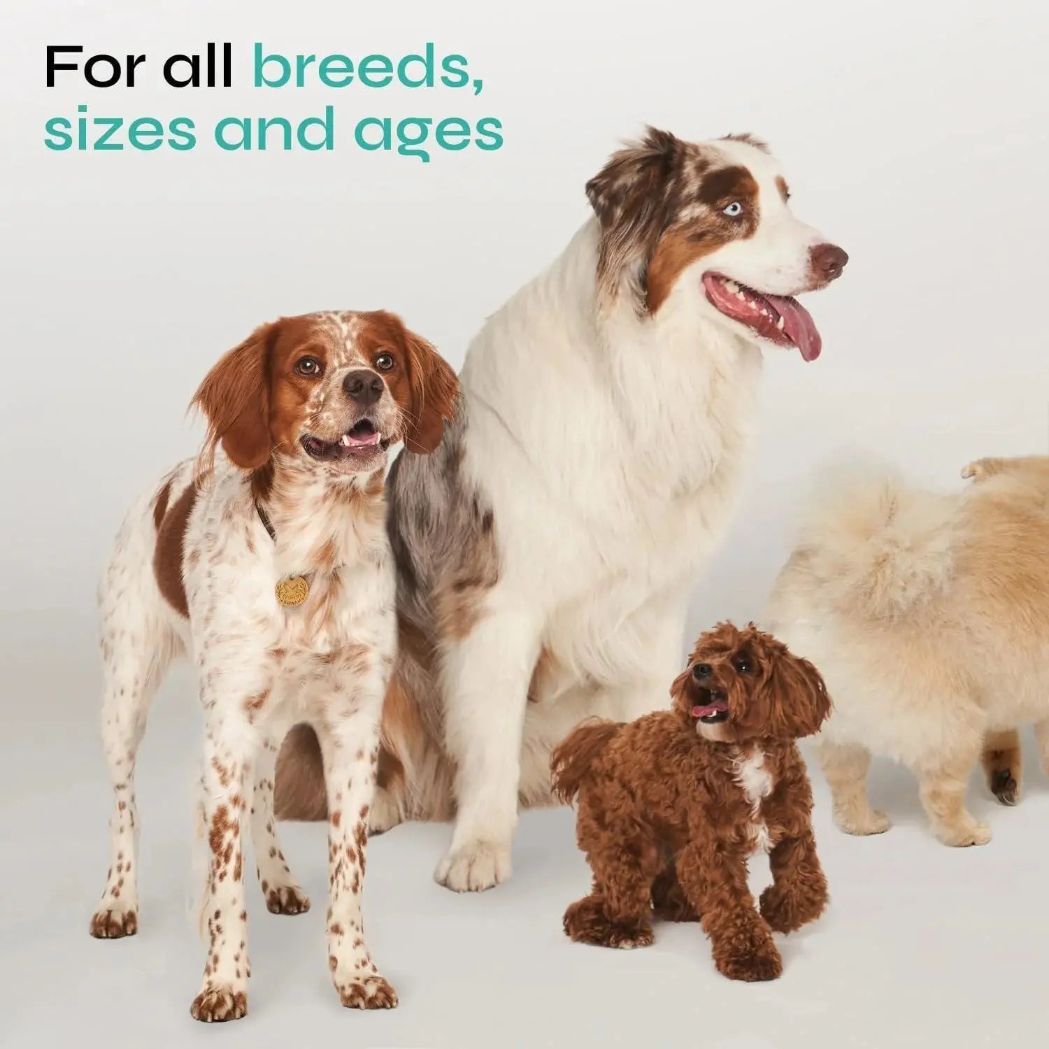 Calming Chews for Dogs Anxiety Relief Chicken Flavor Soft Treats for Storms
