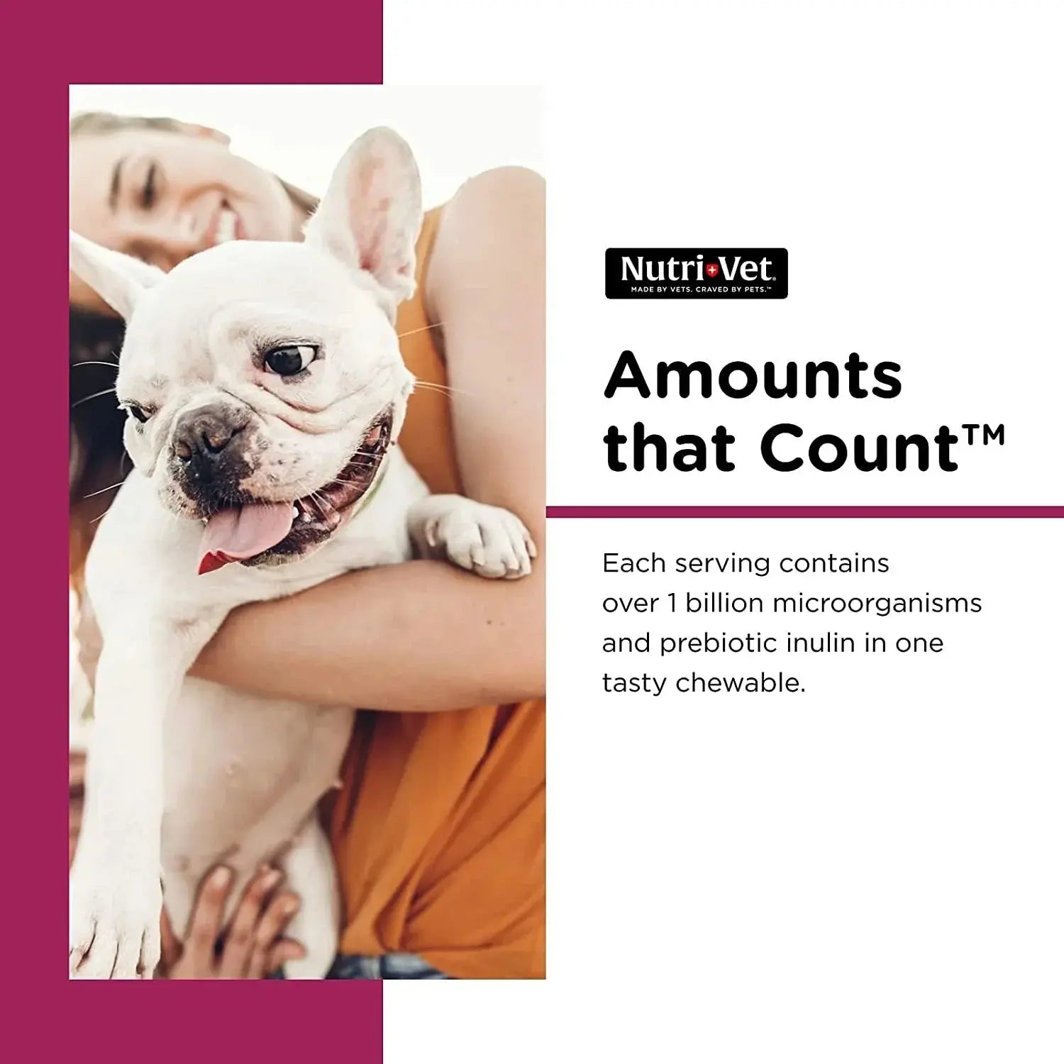 Nutri-Vet Pre and Probiotic for Dogs Digestive Health Support 120 Soft Chews New