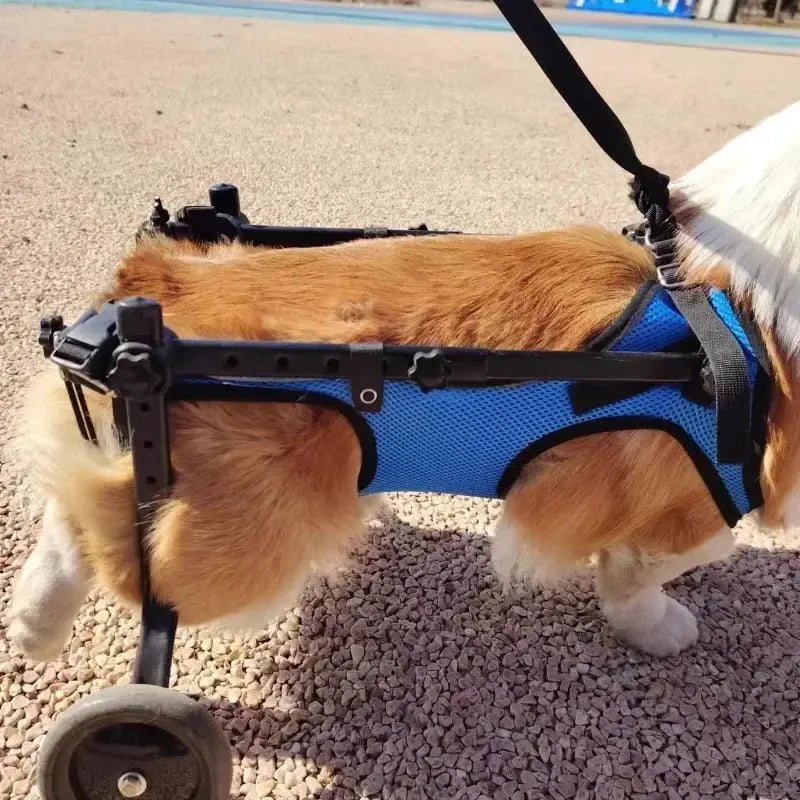 Pet Trolley Adjustable Hind Leg Disabled Pet Dog Mobility Aid Light Rehabilitation Legs Pet Wheelchair Walk Trolley Tools