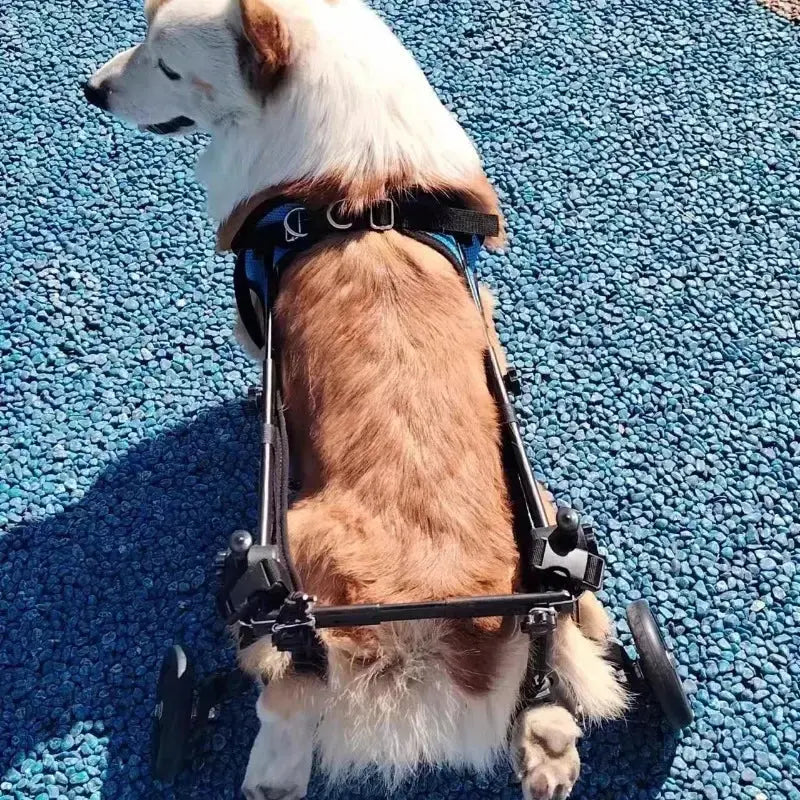 Pet Trolley Adjustable Hind Leg Disabled Pet Dog Mobility Aid Light Rehabilitation Legs Pet Wheelchair Walk Trolley Tools