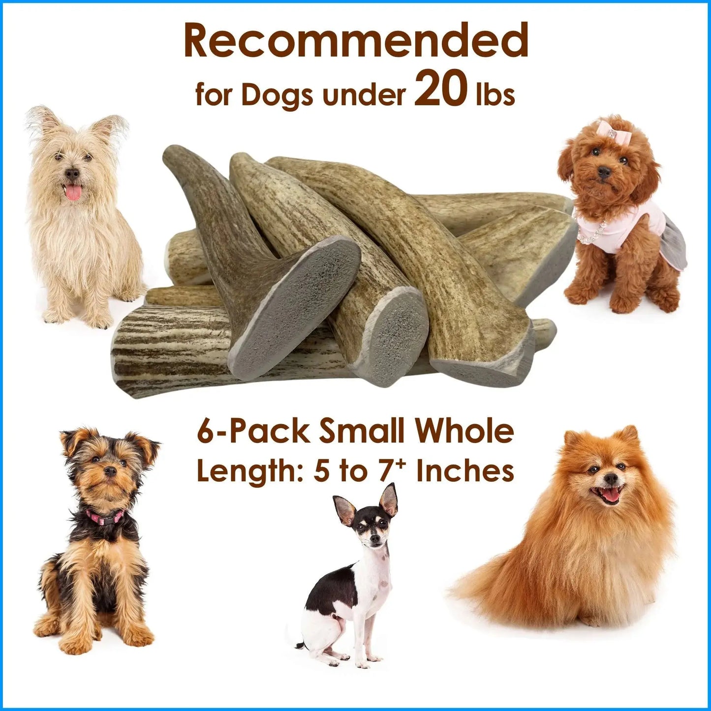 6-Pack Small Whole Elk Antler Dog Chews, Natural Long-Lasting Chew Treat for Small Dogs