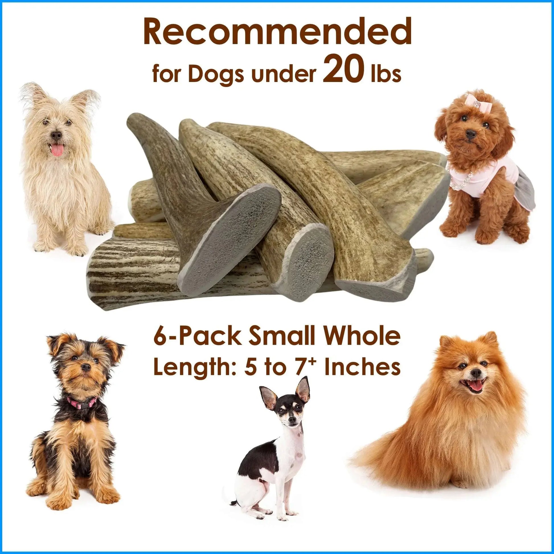 6-Pack Small Whole Elk Antler Dog Chews, Natural Long-Lasting Chew Treat for Small Dogs