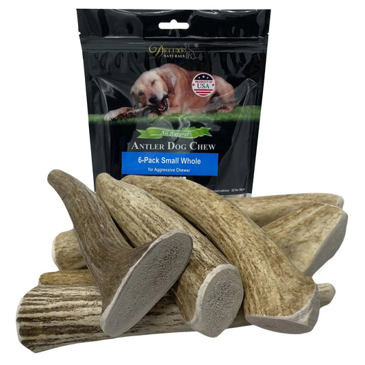 6-Pack Small Whole Elk Antler Dog Chews, Natural Long-Lasting Chew Treat for Small Dogs