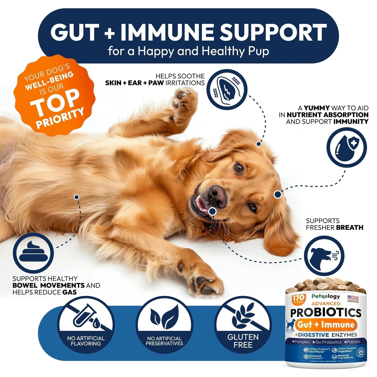 Probiotics for Dogs 170 Chews Dog Digestive Enzymes Prebiotics Support Gut