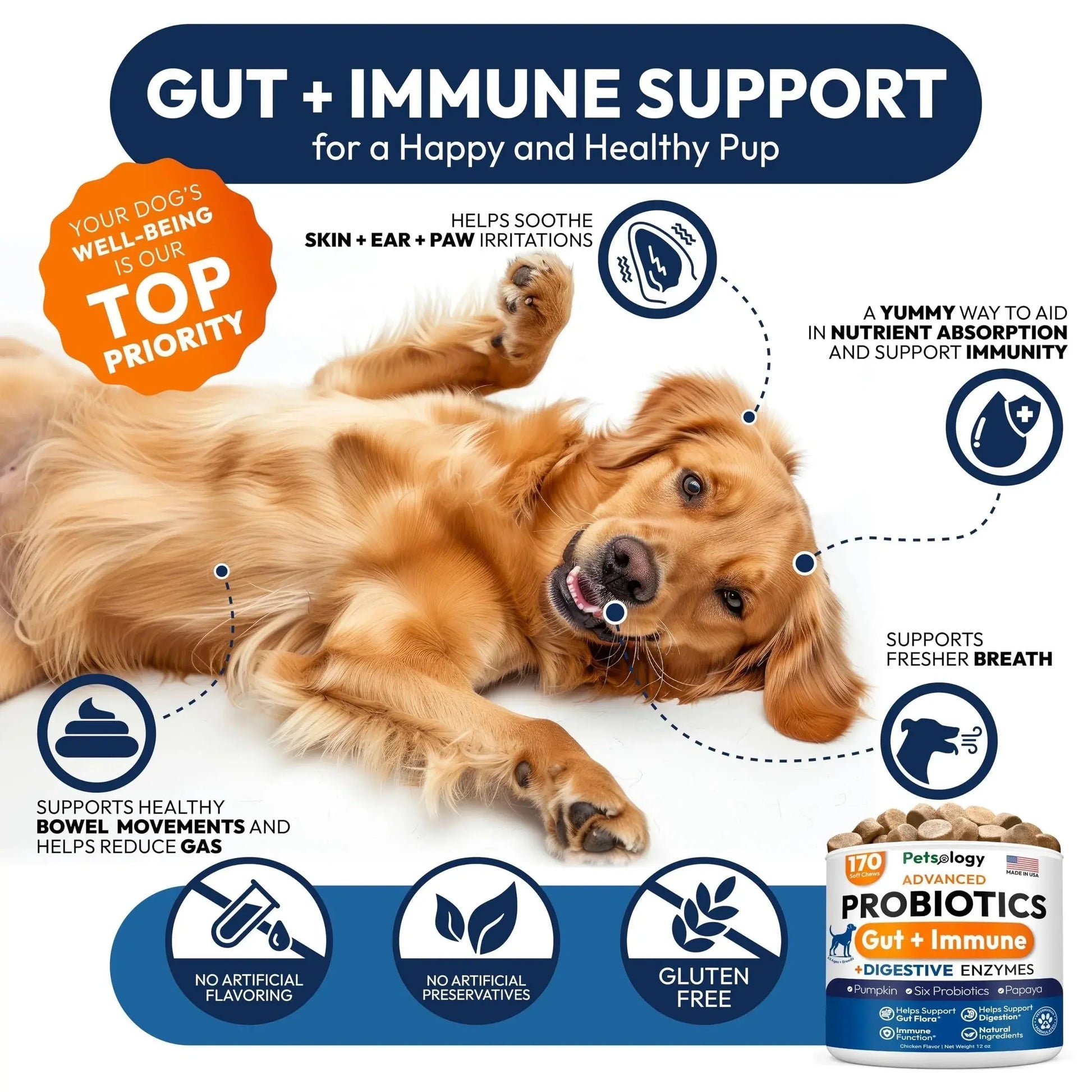 Probiotics for Dogs 170 Chews Dog Digestive Enzymes Prebiotics Support Gut