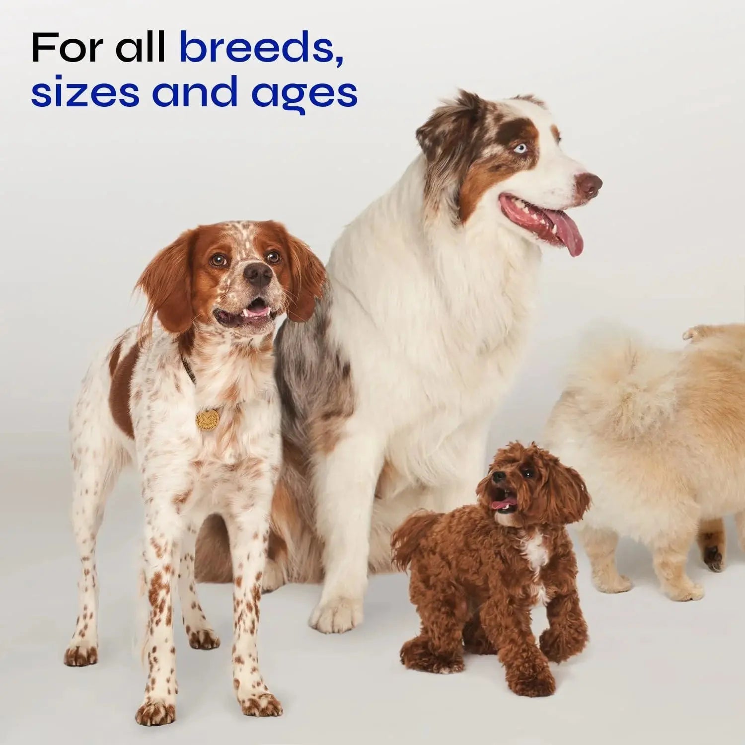 Canine Supplement Soft Chews for Dogs Glucosamine Hip Joint Support