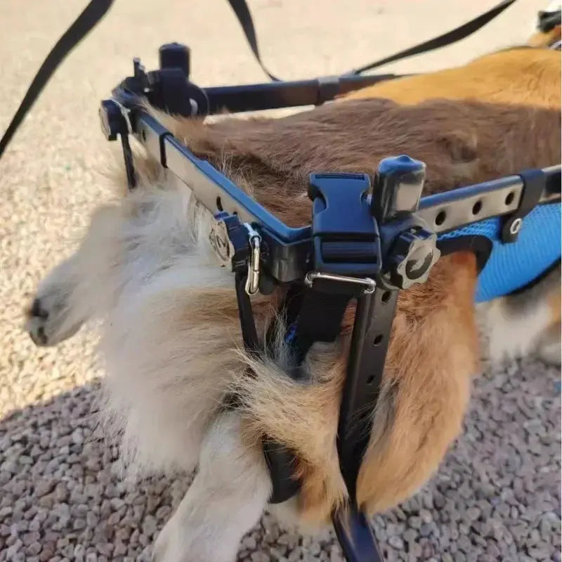 Pet Trolley Adjustable Hind Leg Disabled Pet Dog Mobility Aid Light Rehabilitation Legs Pet Wheelchair Walk Trolley Tools