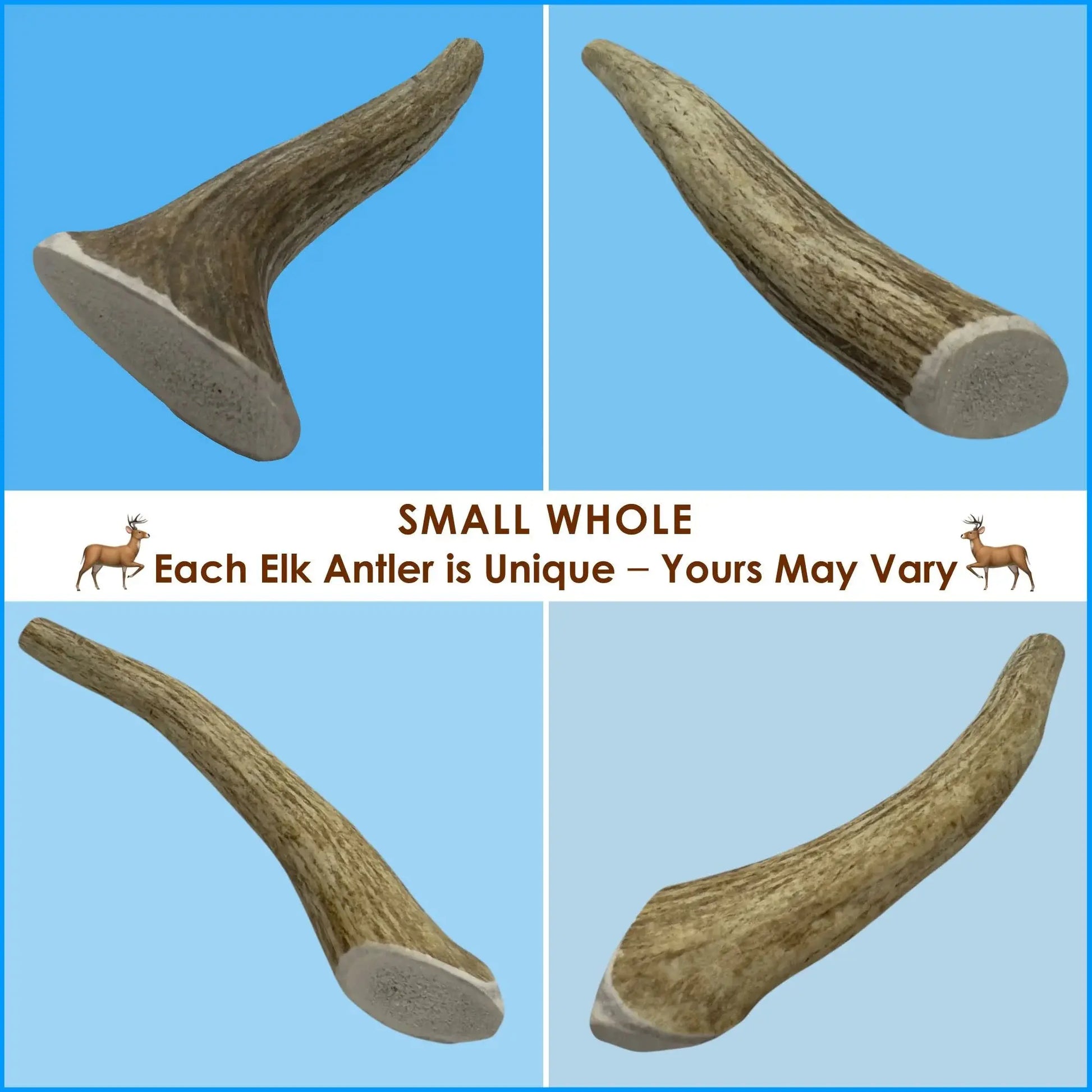 6-Pack Small Whole Elk Antler Dog Chews, Natural Long-Lasting Chew Treat for Small Dogs