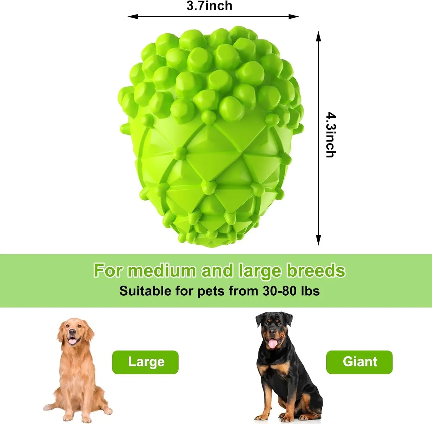 Dog Toy - Rubber Squeaky Pinecone for Large Dogs, Reduces Plaque & Tartar, Teeth Cleaning, Tough Tear-Resistant, Green