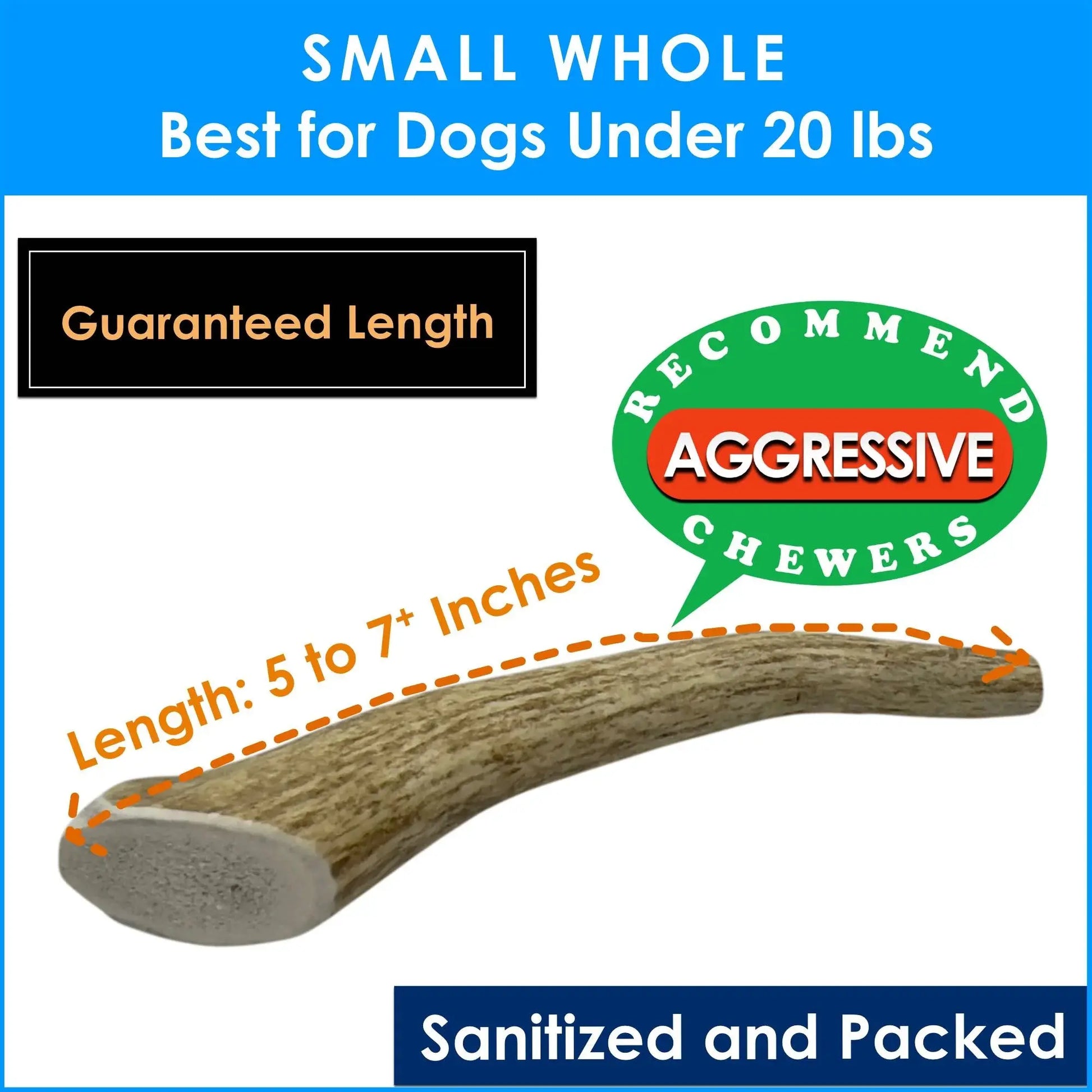 6-Pack Small Whole Elk Antler Dog Chews, Natural Long-Lasting Chew Treat for Small Dogs